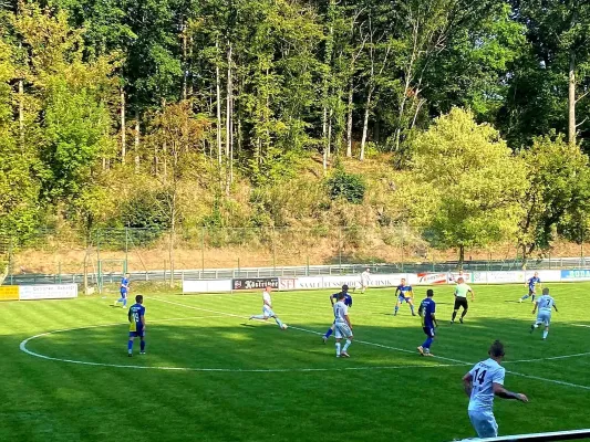 31.08.2024 SG Traktor Teichel vs. FC Empor Weimar 06